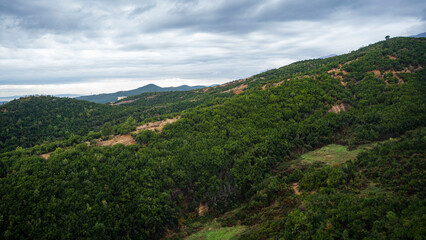 z lotu ptaka albania tirana rynek turysta podróż europa