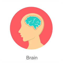 Brain