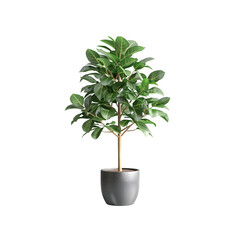 Decorative foliage plant in a Pot, modern indoor tree, 100% whit