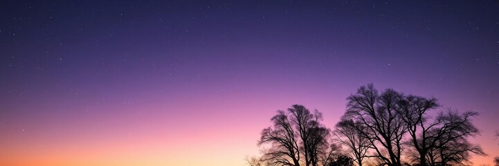 Fototapeta premium The silhouette of trees against a star-filled sky on a warm summer evening, landscape features, aerial view