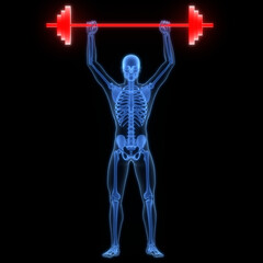 Obraz premium Human Skeleton System Bone Joints Anatomy 