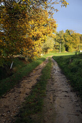Fototapeta premium Countryside around Osmoy - Ile-de-France region - Yvelines - France