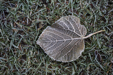 Scone palace - Category A listed historic house at Scone - Scone - Perthshire - Scotland - UK