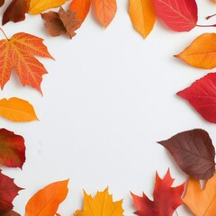Colorful autumn leaves arranged in a circular pattern on a white background