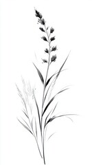 Fototapeta premium Chinese ink brush strokes flower