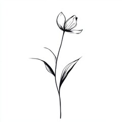Chinese ink brush strokes flower