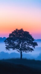 Obraz premium Nature and Landscapes of a Silhouette of a Tree Blending with a Vibrant Sunrise over Misty Hills.