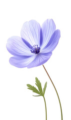 modern 2D doodle cartoon flower concept with open space for text, featuring whimsical floral and leafy elements on crisp white backgrounds.