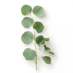 Obraz premium modern 2D doodle cartoon flower concept with open space for text, featuring whimsical floral and leafy elements on crisp white backgrounds.