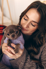 Young woman bonding with her Chihuahua dog during the Christmas season