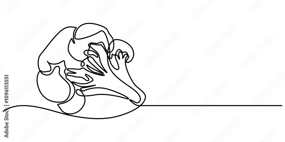Poster continuous single drawn one line broccoli vegetables hand-drawn picture silhouette. line art. doodle