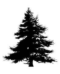 Fir trees silhouette. Black silhouette of sine tree on white background. Vector illustration