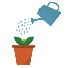 a watering can waters a young plant in a clay pot