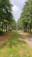 Obraz premium a blurry photo of a road in a park