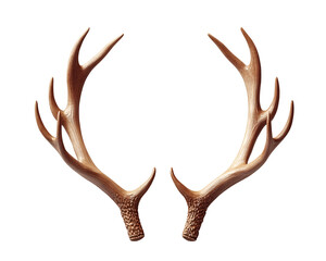 a pair of antlers with antlers