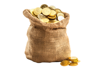a bag of gold coins