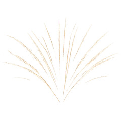 Fototapeta premium Fireworks png