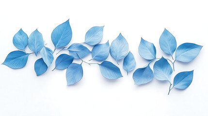 Fototapeta premium Blue leaves arranged in a fan shape on a white background