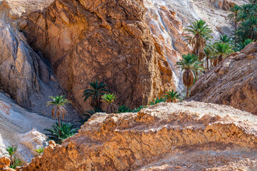 Mountains near the Chebika Oasis. One of the most popular travel destinations in Tunisia.