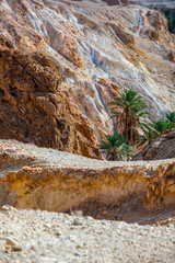 Mountains near the Chebika Oasis. One of the most popular travel destinations in Tunisia.