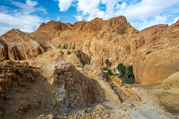 Mountains near the Chebika Oasis. One of the most popular travel destinations in Tunisia.
