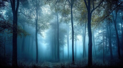 Fototapeta premium Misty forest panorama showcasing a dark, enchanting landscape with towering trees and ethereal fog, ideal for fantasy or Halloween themes.