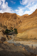 Mountains near the Chebika Oasis. One of the most popular travel destinations in Tunisia.