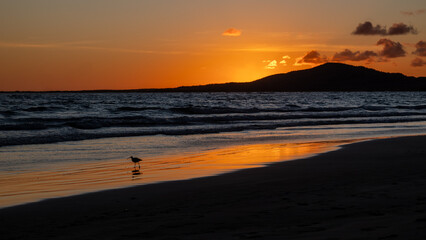 Sunset on the beach. Isabela, Galapagos