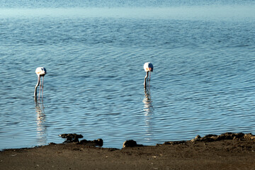 plage de Pi&eacute;manson au bord de la mer M&eacute;diterran&eacute;e