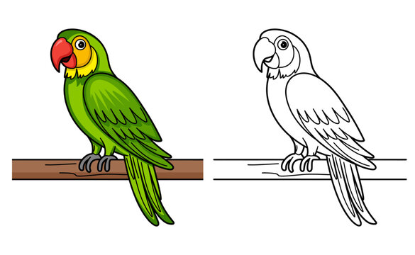 Beautiful lovebird parrot bird cartoon character line art coloring pages book for kids vector illustration