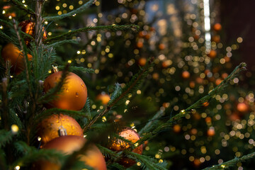 Close-up view of orange coloured Christmas baubles on branch of natural green spruce tree and Christmas lights. Soft focus. Copy space. Winter holidays street building decoration theme.