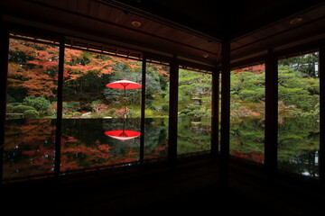 紅葉リフレクション