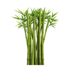 Obraz premium A cluster of vibrant green bamboo stalks with lush leaves, showcasing their tall and slender form.