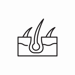 hair planting icon sign vector