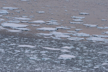 北海道　知床の夕日に染まる流氷