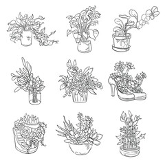 Set of Hand Drawn Indoor Potted Plants &ndash; Black and White Line Art Illustration