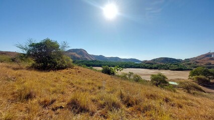 yellow meadow with scorching sun