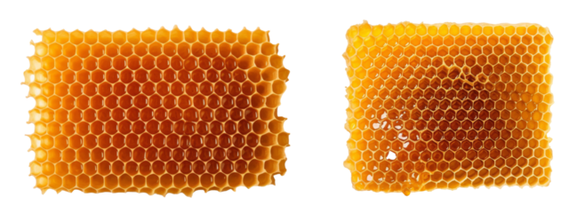 honey top view isolated on white background