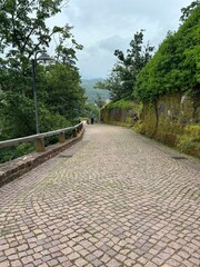 stone road in the woods
