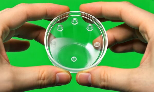 Close-up of hands holding a clear, circular dish with small holes.