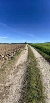 Landschaftsbild vertikal - Natur, Wald, Wanderweg, blauer Himmel, Felder Wiese