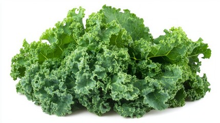 Fresh Kale - A Healthy and Nutritious Vegetable