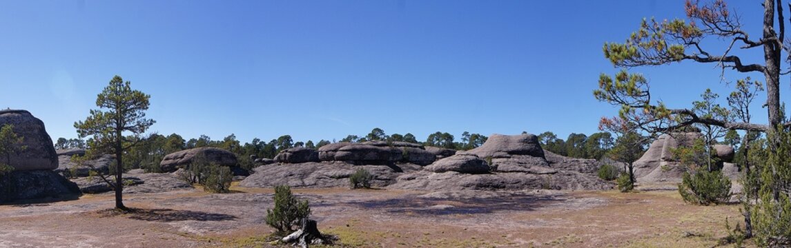 Mexiquillo Stone Forest, Durango - Mexico