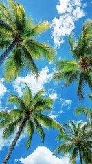 Obraz premium Towering palm trees reach for the azure sky, their lush green fronds swaying gently against a backdrop of fluffy white clouds, evoking a tropical paradise.