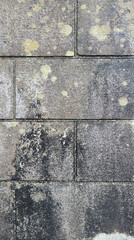 コンクリート壁の汚れ・concrete wall stains・콘크리트 벽 얼룩