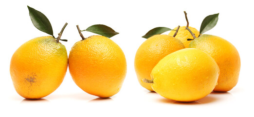 Orange fruit on the white background