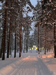 the road to the church