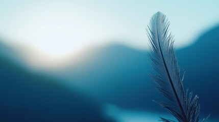 Delicate Feather Against Blurred Sky Background