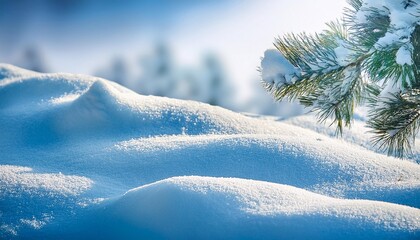 winter background christmas background with snow covered pine branch and snowdrifts
