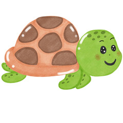 Coral and marine life